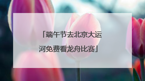 端午节去北京大运河免费看龙舟比赛
