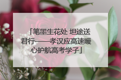 笔墨生花处 坦途送君行——孝汉应高速暖心护航高考学子