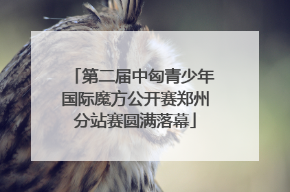 第二届中匈青少年国际魔方公开赛郑州分站赛圆满落幕