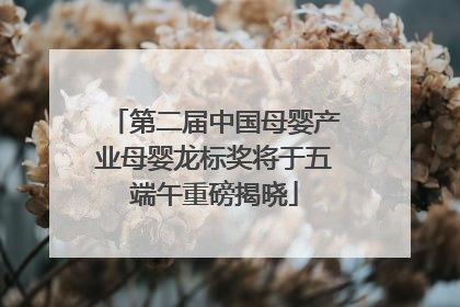 第二届中国母婴产业母婴龙标奖将于五端午重磅揭晓
