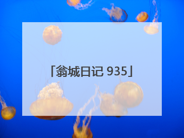 翁城日记 935