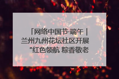 网络中国节·端午｜兰州九州花坛社区开展“红色领航 粽香敬老”端午主题活动