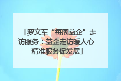 罗文军“每周益企”走访服务：益企走访暖人心 精准服务促发展