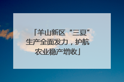 羊山新区“三夏”生产全面发力，护航农业稳产增收