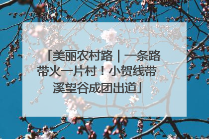 美丽农村路｜一条路带火一片村！小贺线带溪望谷成团出道