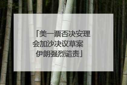 美一票否决安理会加沙决议草案 伊朗强烈谴责