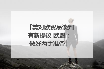 美对欧贸易谈判有新提议 欧盟：做好两手准备