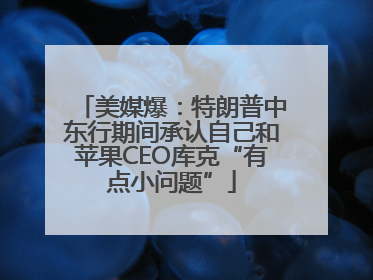 美媒爆：特朗普中东行期间承认自己和苹果CEO库克“有点小问题”