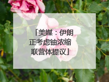 美媒：伊朗正考虑铀浓缩联营体提议