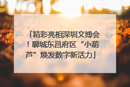 精彩亮相深圳文博会！聊城东昌府区“小葫芦”焕发数字新活力