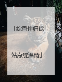粽香伴归途 站点绽温情