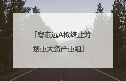 粤宏远A拟终止筹划重大资产重组