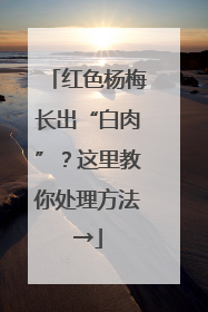 红色杨梅长出“白肉”？这里教你处理方法→