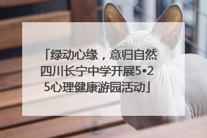 绿动心缘，意归自然 四川长宁中学开展5•25心理健康游园活动