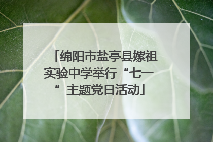 绵阳市盐亭县嫘祖实验中学举行“七一”主题党日活动