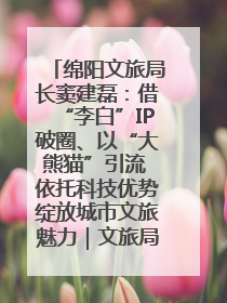 绵阳文旅局长窦建磊：借“李白”IP破圈、以“大熊猫”引流 依托科技优势绽放城市文旅魅力｜文旅局长说