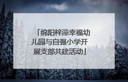 绵阳梓潼幸福幼儿园与自强小学开展支部共建活动