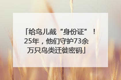 给鸟儿戴“身份证”！25年，他们守护73余万只鸟类迁徙密码