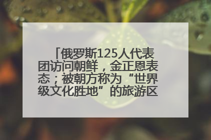 俄罗斯125人代表团访问朝鲜，金正恩表态；被朝方称为“世界级文化胜地”的旅游区，将首次接待俄游客