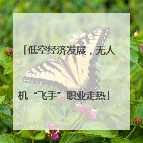 低空经济发展，无人机“飞手”职业走热