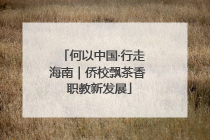 何以中国·行走海南｜侨校飘茶香 职教新发展