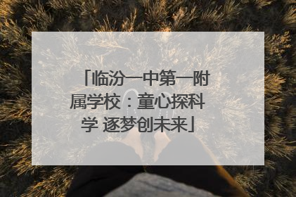 临汾一中第一附属学校：童心探科学 逐梦创未来