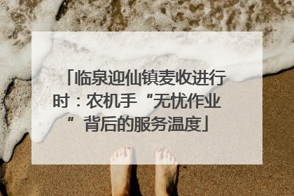 临泉迎仙镇麦收进行时：农机手“无忧作业”背后的服务温度