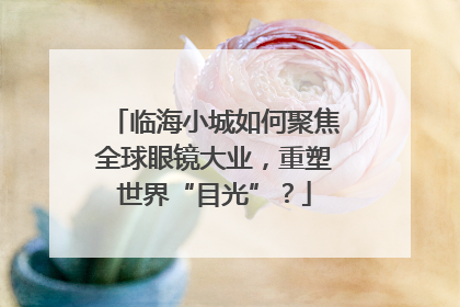 临海小城如何聚焦全球眼镜大业，重塑世界“目光”？