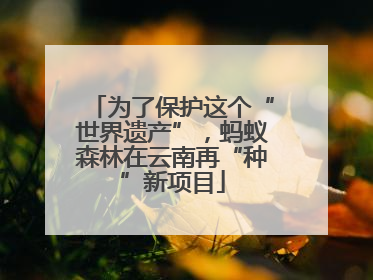 为了保护这个“世界遗产”，蚂蚁森林在云南再“种”新项目
