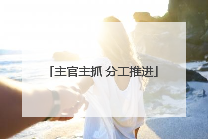 主官主抓 分工推进