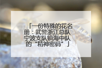 一份特殊的花名册：武警浙江总队宁波支队镇海中队的“精神密码”