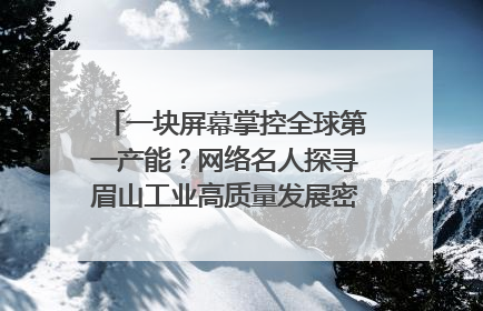 一块屏幕掌控全球第一产能？网络名人探寻眉山工业高质量发展密码｜网络名人四川行