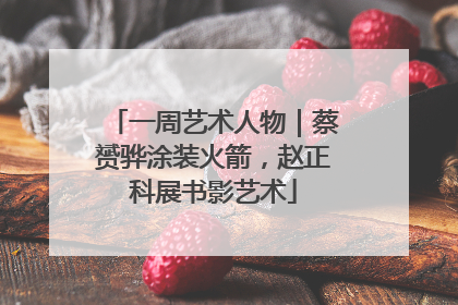 一周艺术人物｜蔡赟骅涂装火箭，赵正科展书影艺术