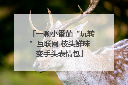 一颗小番茄“玩转”互联网 枝头鲜味变手头表情包