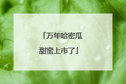 万年哈密瓜甜蜜上市了