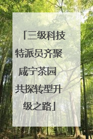 三级科技特派员齐聚咸宁茶园 共探转型升级之路