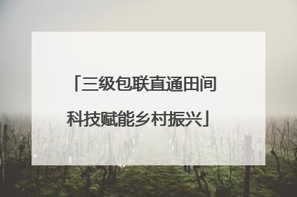 三级包联直通田间 科技赋能乡村振兴