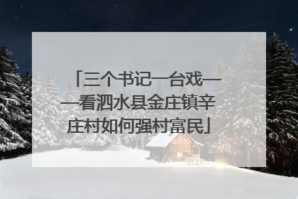 三个书记一台戏——看泗水县金庄镇辛庄村如何强村富民