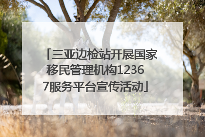 三亚边检站开展国家移民管理机构12367服务平台宣传活动