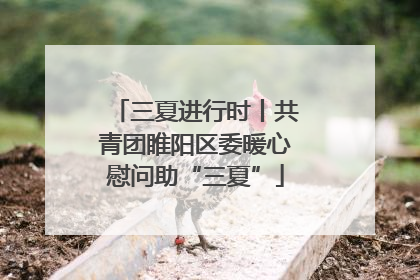 三夏进行时丨共青团睢阳区委暖心慰问助“三夏”