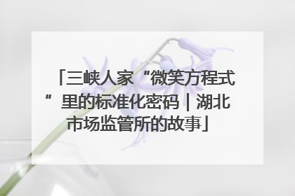 三峡人家“微笑方程式”里的标准化密码｜湖北市场监管所的故事