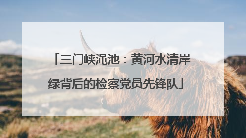 三门峡渑池：黄河水清岸绿背后的检察党员先锋队