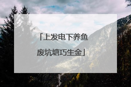 上发电下养鱼 废坑塘巧生金