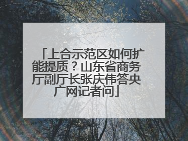 上合示范区如何扩能提质？山东省商务厅副厅长张庆伟答央广网记者问