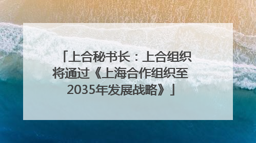 上合秘书长：上合组织将通过《上海合作组织至2035年发展战略》