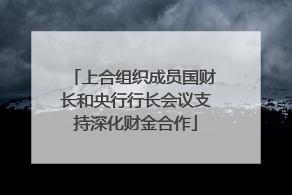 上合组织成员国财长和央行行长会议支持深化财金合作