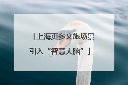 上海更多文旅场景引入“智慧大脑”