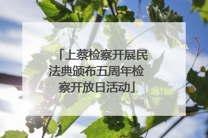 上蔡检察开展民法典颁布五周年检察开放日活动