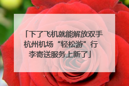 下了飞机就能解放双手 杭州机场“轻松游”行李寄送服务上新了