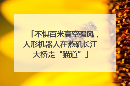 不惧百米高空强风，人形机器人在燕矶长江大桥走“猫道”